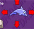 Dolphin Dash