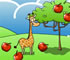 Giraffe Above