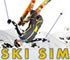 Ski Sim