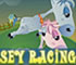 Horsey Racing